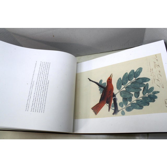 2000 - 2009 A Flight of 3 Elegant Bird Books – Audubon, Fuentes, Peterson –Oversized Illustrated Ornithology Editions For Sale - Image 5 of 15