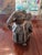 Vintage Elephant Jewel Box For Sale - Image 4 of 12