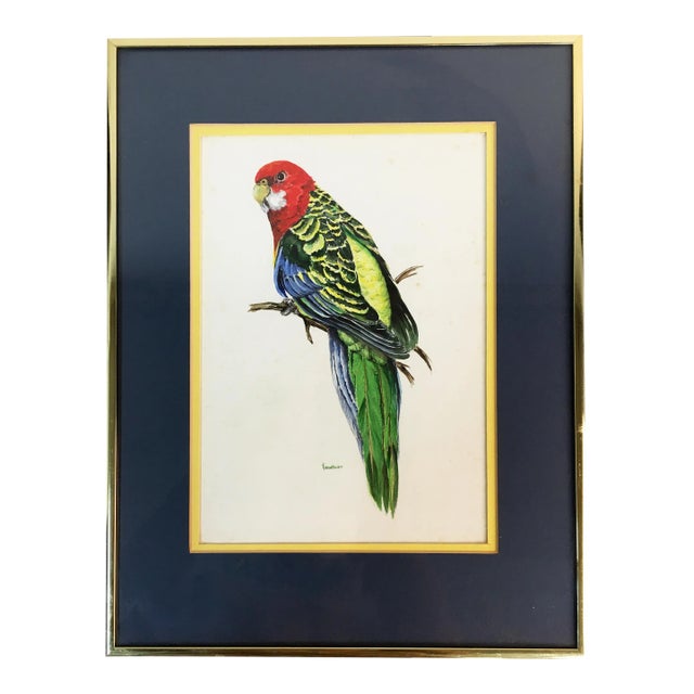 1960s Parrot Watercolor in Brass Frame For Sale