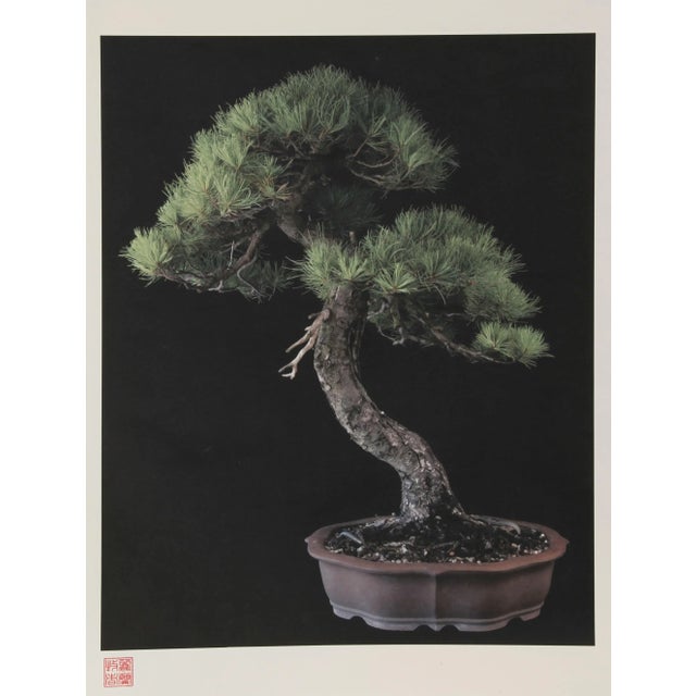 Imperial Series IV Jonathan Singer American (1949–2019) Date: 2012 Digital Photograph on Laid paper, signed and numbered...