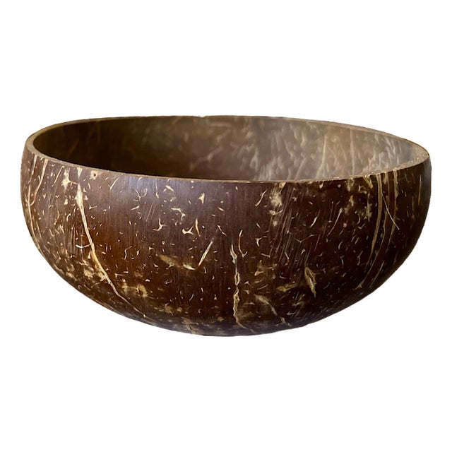 Carved Coconut Shell Bowl — Organic Tropical Decor For Sale