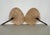 Large Organic Uchiwa Wall Sconces by Ingo Maurer for M Design, Germany, 1973, Set of 2 For Sale - Image 11 of 18