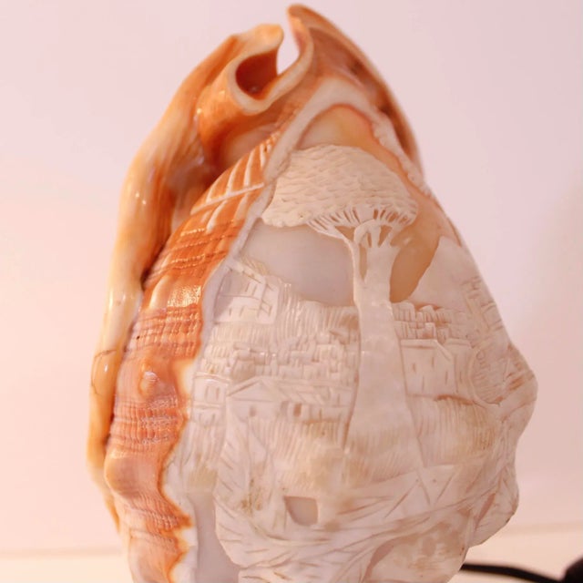 Wood Neapolitan Cameo Carved Conch Shell (Lamp) For Sale - Image 7 of 13