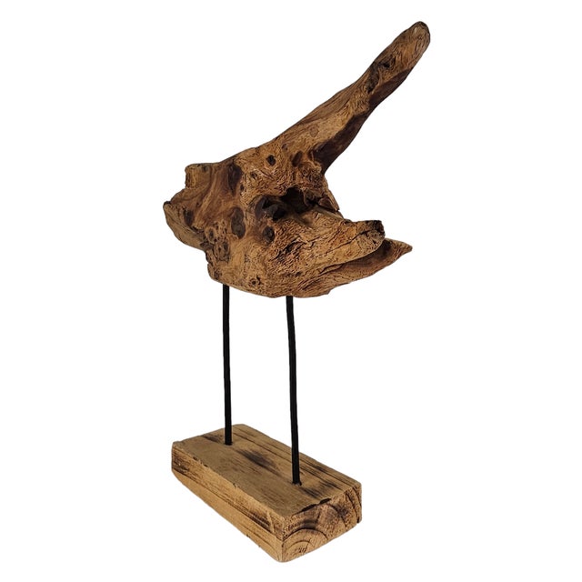 Contemporary Large Natural Driftwood Sculpture on Stand Organic Modern Art 19" For Sale - Image 3 of 11