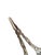 Danish Art Nouveau Grapes Scissors, 1920s For Sale - Image 6 of 8