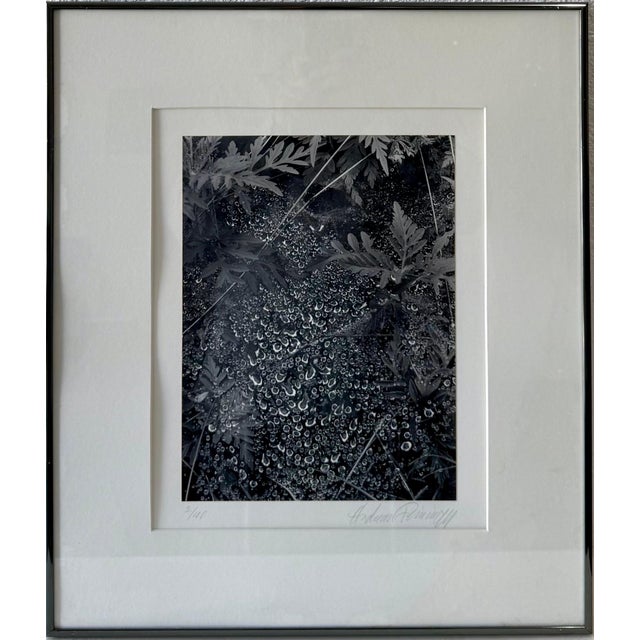 Andreas Feininger, American Photographer Andreas Feininger Silver Gelatin Vintage Print For Sale - Image 11 of 11