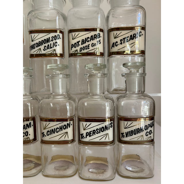American Antique Whitall Tatum Co. Reverse-Painted Gilded Label Apothecary Jars, Set of 16 For Sale - Image 3 of 8