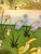 Mid 20th Century Arturo Alcala Mexican Folk Art Painting – Landscape With Birds, Deer, Elephants, Toucans, & Wildlife For Sale - Image 10 of 15