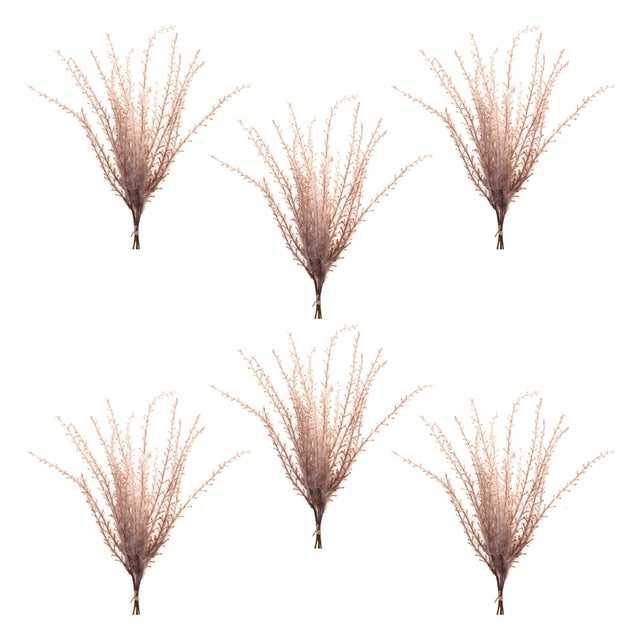Rustic Grass Plume Bundle (Set of 6) For Sale - Image 3 of 3