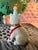 1970s 1970s Ceramic Lennox Birthday Cat With Party Hat For Sale - Image 5 of 8