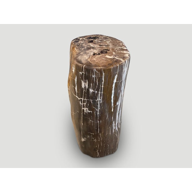 2010s Andrianna Shamaris Ancient Petrified Wood Side Table For Sale - Image 5 of 6