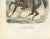 Chevau-Légers Lanciers, Imperial Guard Cavalry, 1843, Paper For Sale - Image 3 of 9