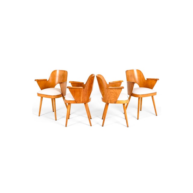 Dining Chairs by Oswald Haerdtl for Ligna, Set of 4 For Sale - Image 15 of 15