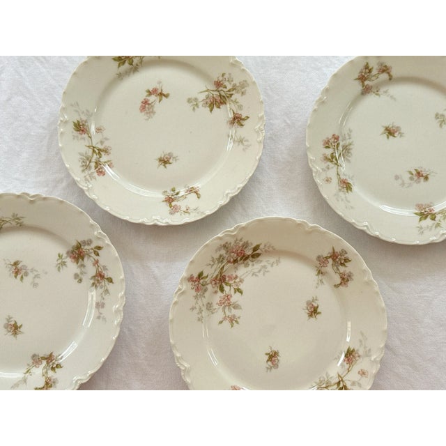 American French Limoges Porcelain Floral Plates - 6", 1900's - Set of 4 For Sale - Image 3 of 11