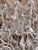 Vintage Italian Maria Chandelier With Crystals Pantalogues For Sale - Image 4 of 18