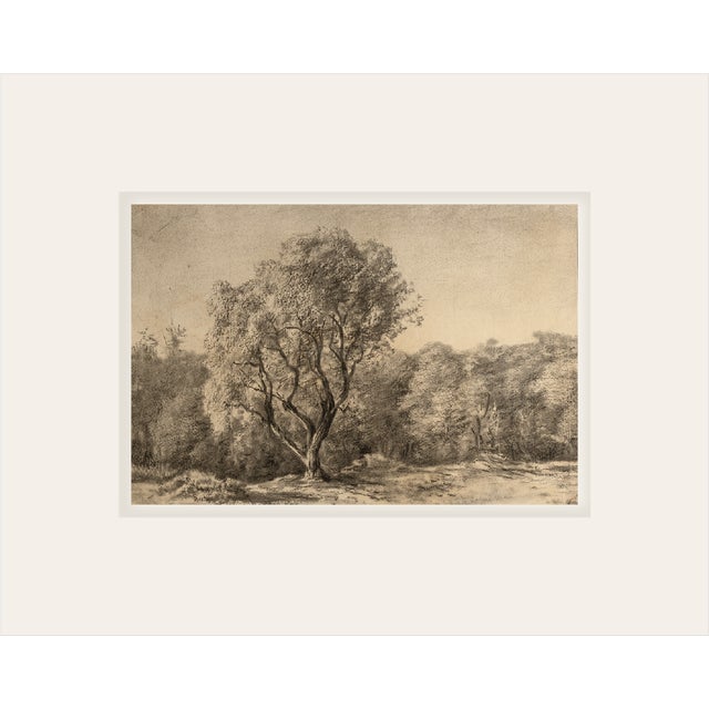 Early 1900's Antique French Charcoal Bucolic Valley Landscape Scene on Paper With Mat For Sale