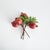 Kenneth Ludwig Chicago Pomegranate Picks 10" St/4 For Sale - Image 4 of 8