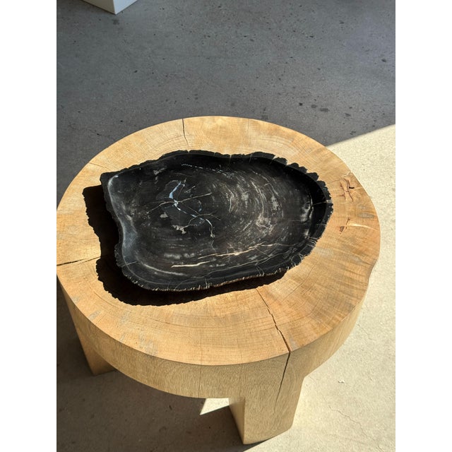 Large Trinket Tray in Black Petrified Wood For Sale - Image 15 of 16
