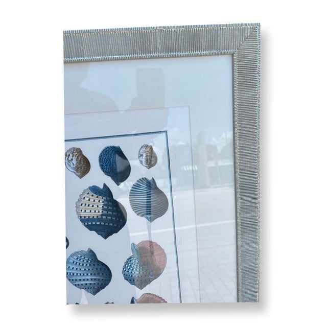 Great Vintage French Print on Paper with design of different shells with silver wood frame with Glass. Plate-Signed down...