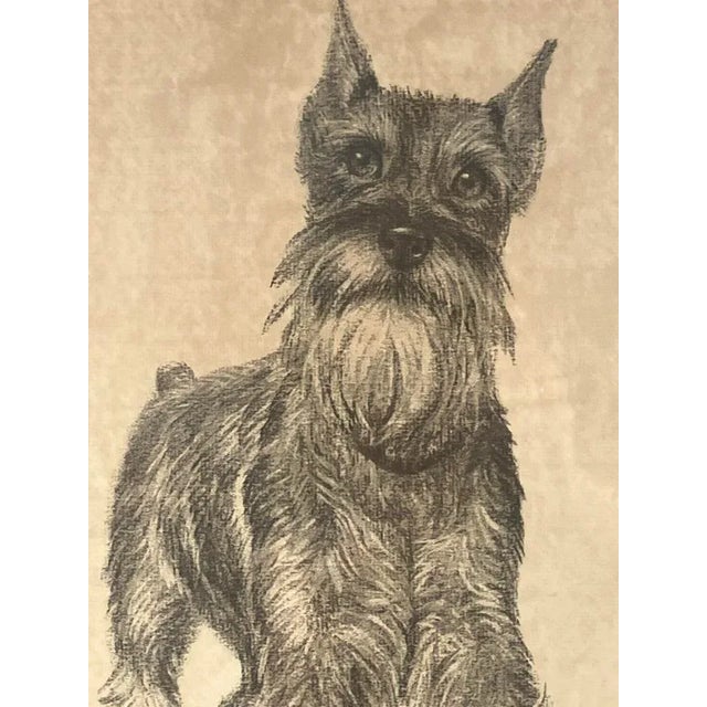 Vintage 1974 Dog Portrait Drawing by T. Daughton – Schnauzer Pet Portrait-'Henry' For Sale - Image 4 of 4