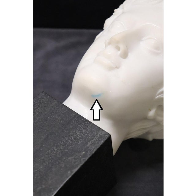 Head of a Young Bacchus, 20th Century, White Marble Sculpture For Sale - Image 9 of 12