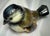Authentic set of three sparrow birds made by the German Goebel Company. The trio was made to decorate a table. Each are...