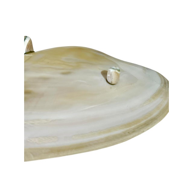 Vintage Polished Shell Caviar Footed Serving Dish Plate For Sale - Image 9 of 12