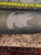 7 Foot 5" Wall Hanging - Scrimshaw Whale Baleen Frond - Mid Century For Sale - Image 9 of 16