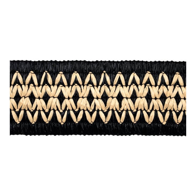 SAMPLE - Schumacher Raphiinae Tape In Black For Sale