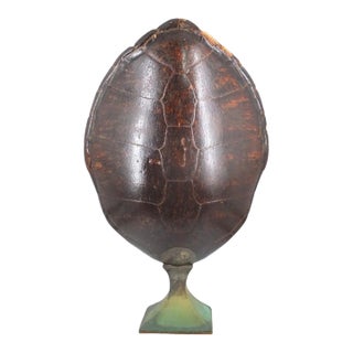 Monumental Natural Antique Turtle Carapace Shell Lamp For Sale