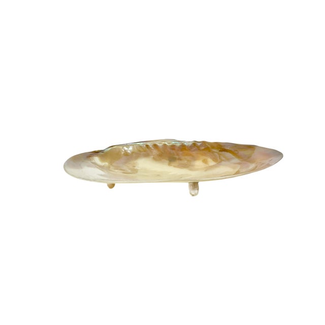 Great size for serving caviar. Vintage polished shell dish with three shell feet. Sourced in France.