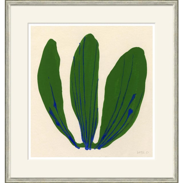 Contemporary Cabbage Framed Art Print by Susan Hable For Sale - Image 3 of 3