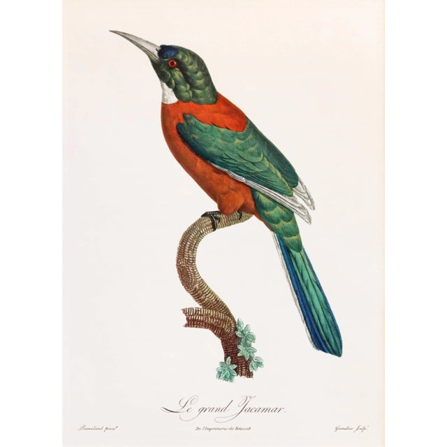 Date: 1960s Size: 14.5 x 10.5 inches interior, matted to 20 x 16 inches Artist: Barraband, Jacques About the Poster:...