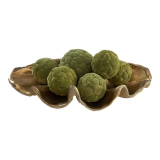 Vintage Large Resin Clam Shell with Moss Balls For Sale