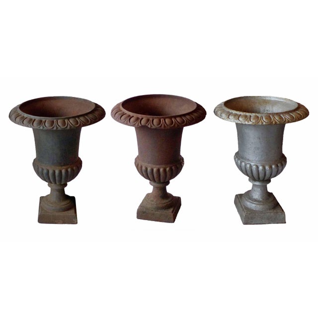Early 20th Century Garden Urns Campagna Form - Set of Three For Sale - Image 5 of 5