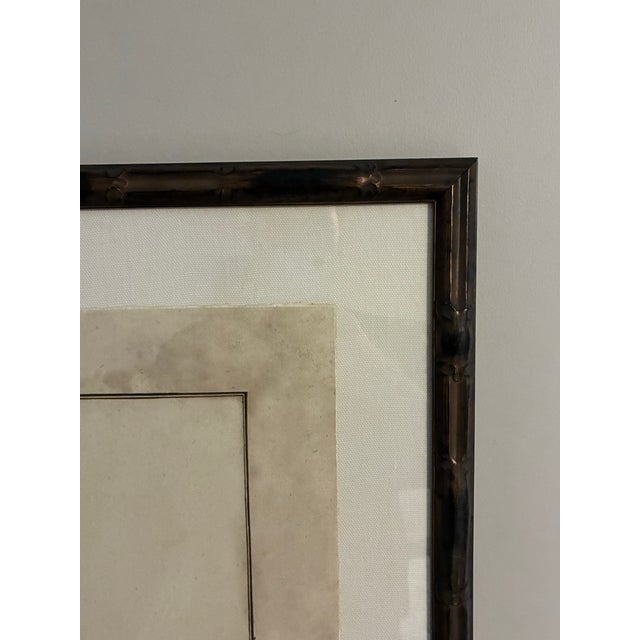 Natural Curiosities “Sheregrig” After James Bruce Framed Bird Print For Sale - Image 4 of 7
