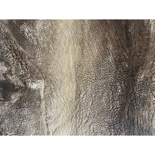 Antique French Braver Fur Throw For Sale In Miami - Image 6 of 6