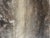 Antique French Braver Fur Throw For Sale In Miami - Image 6 of 6