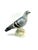 Mid-Century Ceramic Pigeon Figurine from Cortendorf, West Germany, 1950s-1960s For Sale - Image 16 of 16