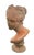 Neoclassical Vintage Neoclassical Terracotta-Style Female Bust – 20" Tall For Sale - Image 3 of 7
