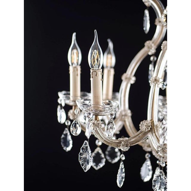 2000 - 2009 Crystal Theresian Chandelier with 9 Bulbs For Sale - Image 5 of 8