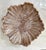 Late 20th Century Vintage Boho Majolica Monkey Shell Bowl For Sale - Image 5 of 12