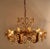 Gold Sciolari Gold and Crystal Chandelier For Sale - Image 8 of 10