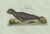 Bertuch, Four Seals, 1800, Engraving For Sale - Image 4 of 10