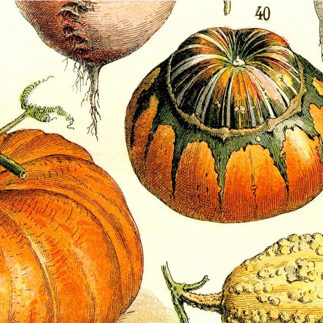 Featured is a beautiful museum-quality print of an original bookplate from the late 1800s that has been digitally altered....