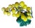 1960s Mid-Century Modern Italian Yellow Alabaster Grape Cluster For Sale