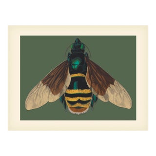 Bugs by Seguy #10 For Sale