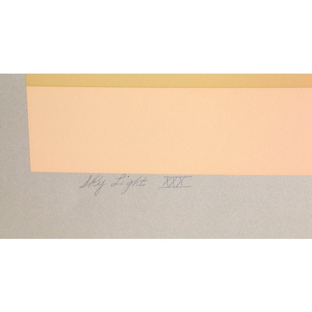 Skylight XXX, Evelyn B. Johnson Screen Print For Sale - Image 4 of 4