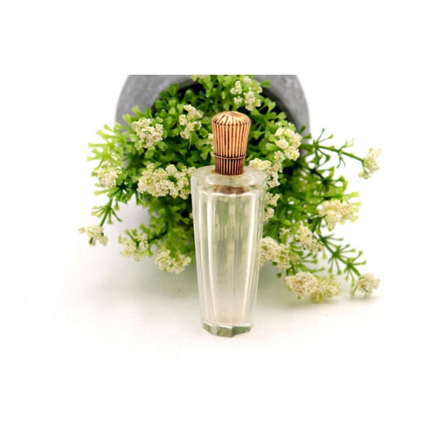 Glass Perfume Bottle with Gold Lid For Sale - Image 6 of 6