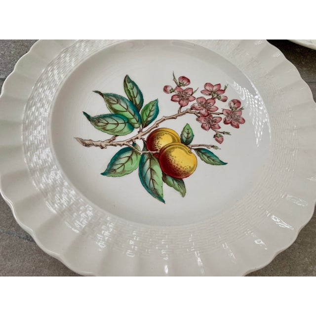 Vintage English Copeland Spode ‘Glendale’ Scalloped Plates in Chelsea Wicker, Botanical Centers With Varied Hand Colored Fruit & Floral- Set of 3 For Sale In San Antonio - Image 6 of 12